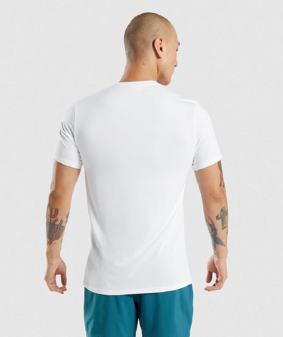 T Shirts Gymshark Arrival Hombre Blancas | CO 3278QMA